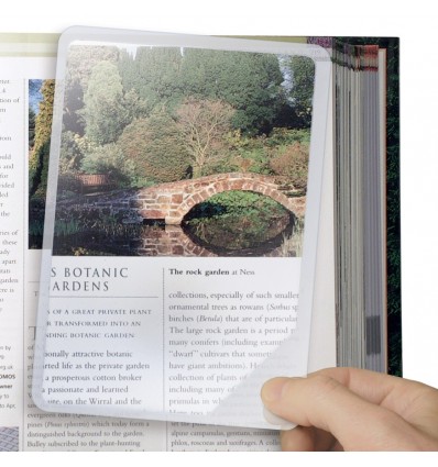 Lupa de página entera